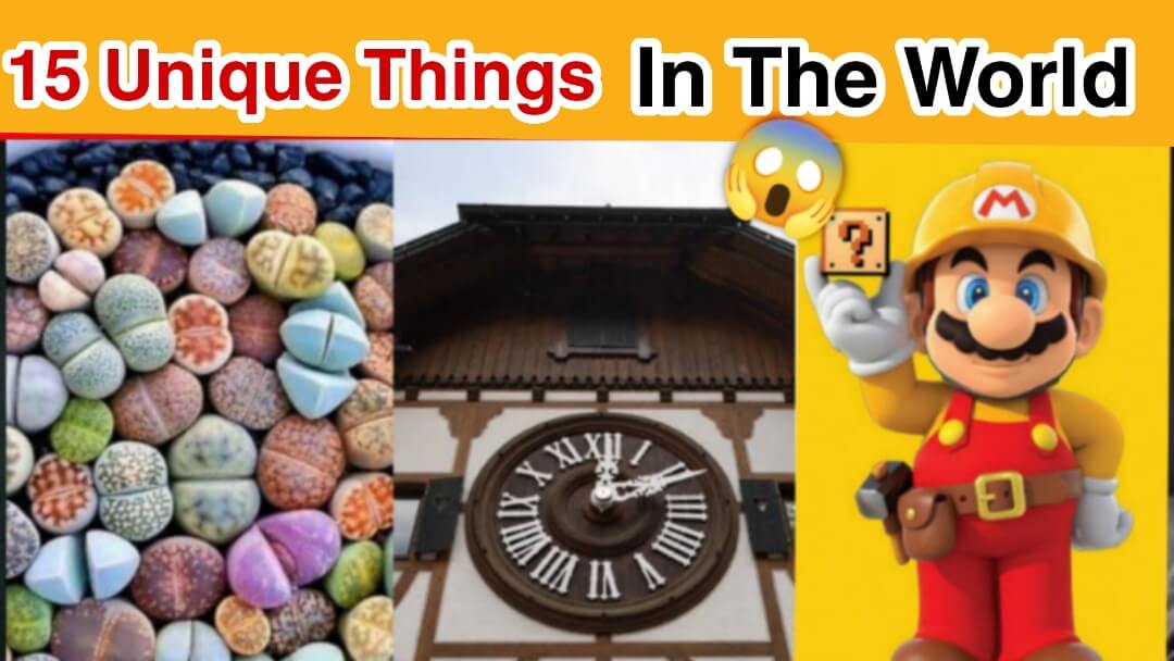 15 Weirdest Things In The World