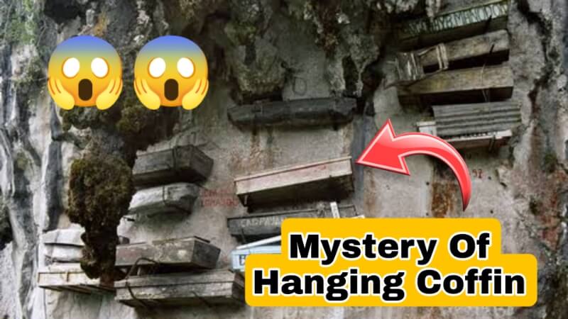 Hanging Coffins History